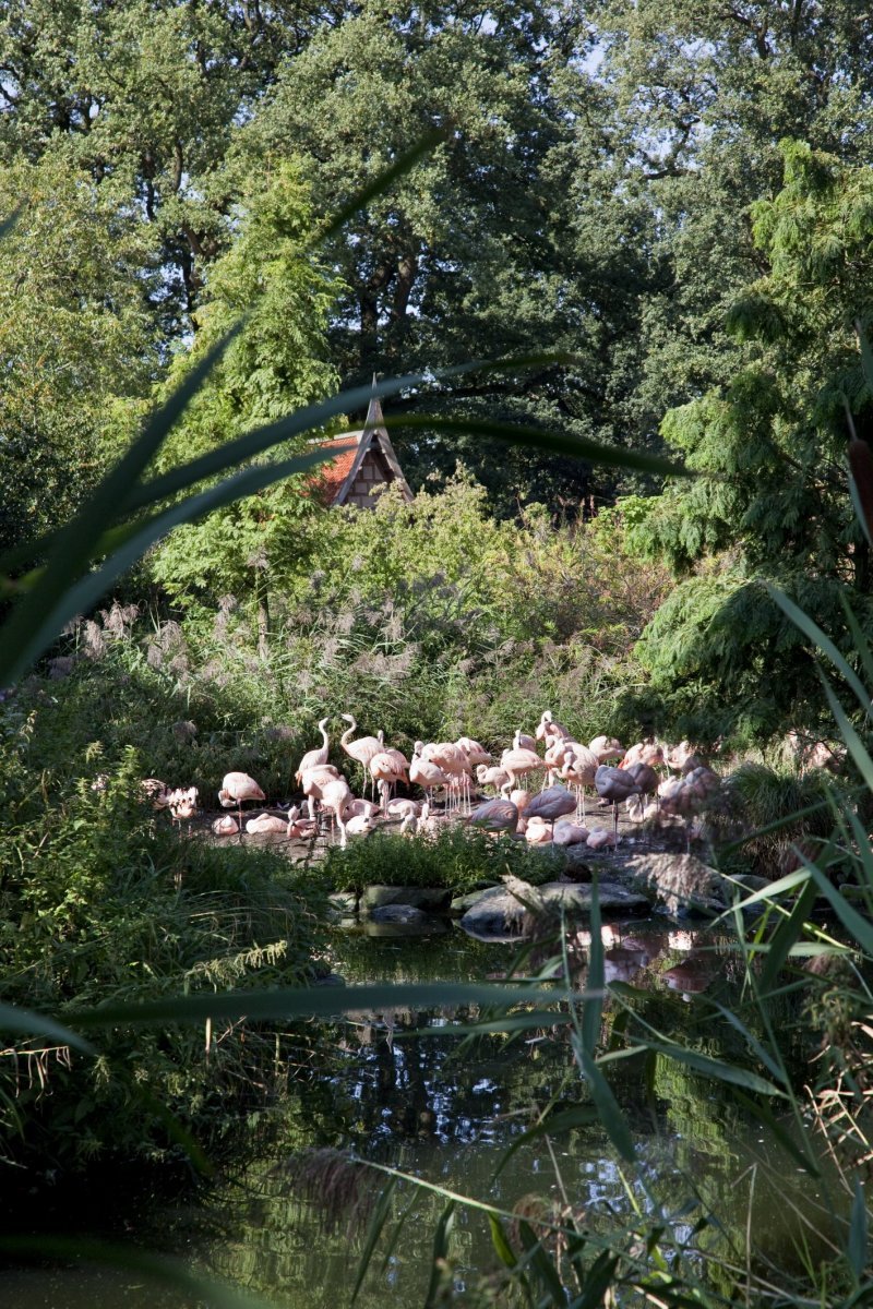 Dierenpark Emmen