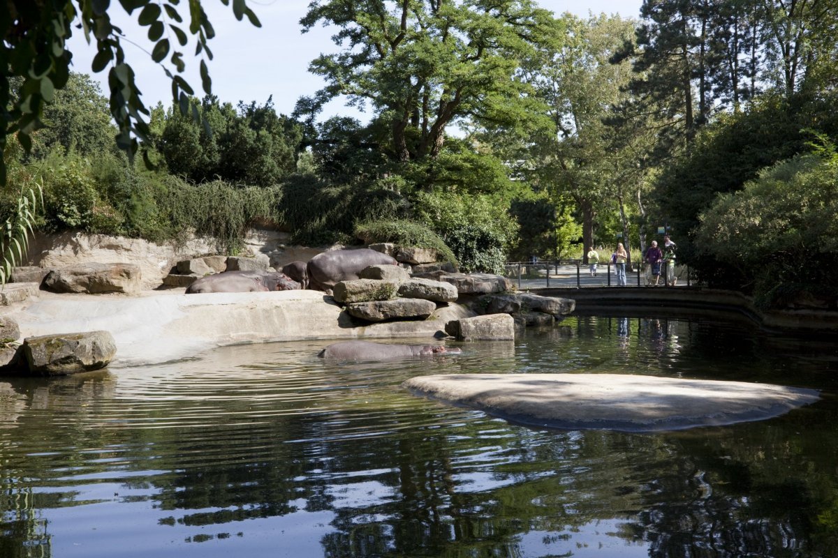 Dierenpark Emmen