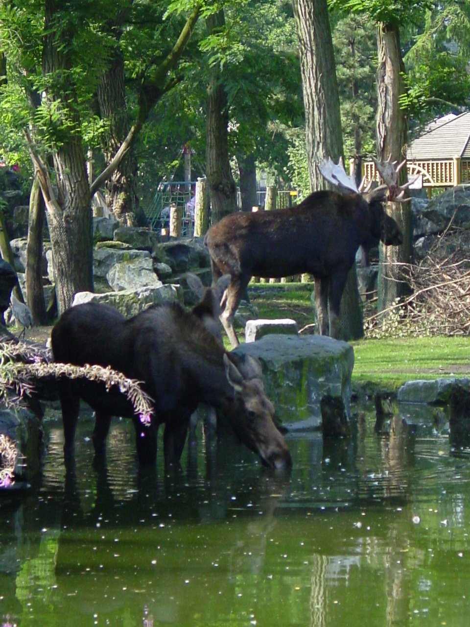 Dierenpark Emmen