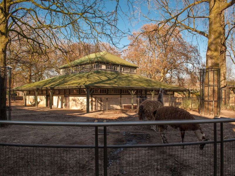 Artis Royal Zoo