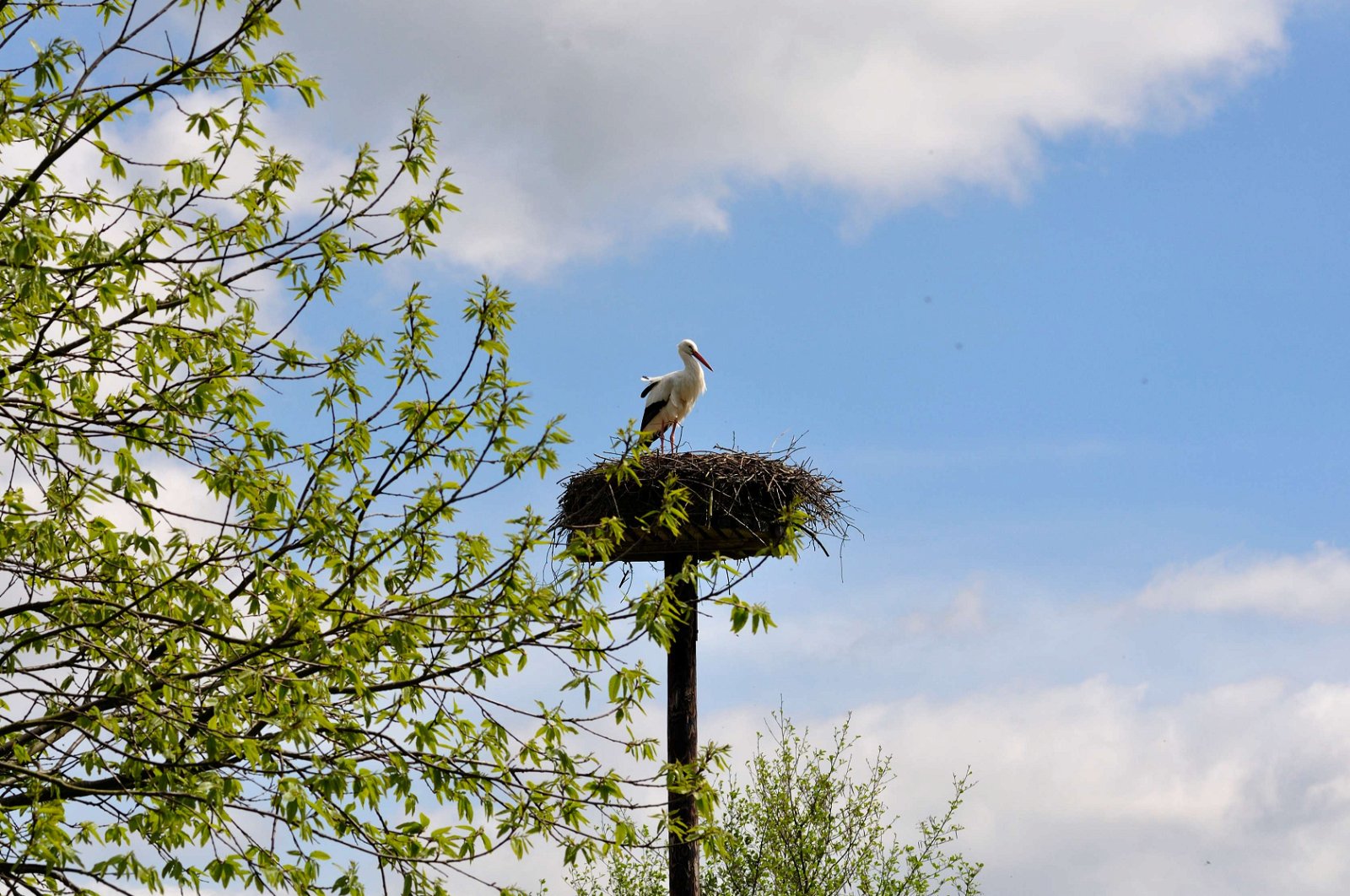 Natuurpark Lelystad