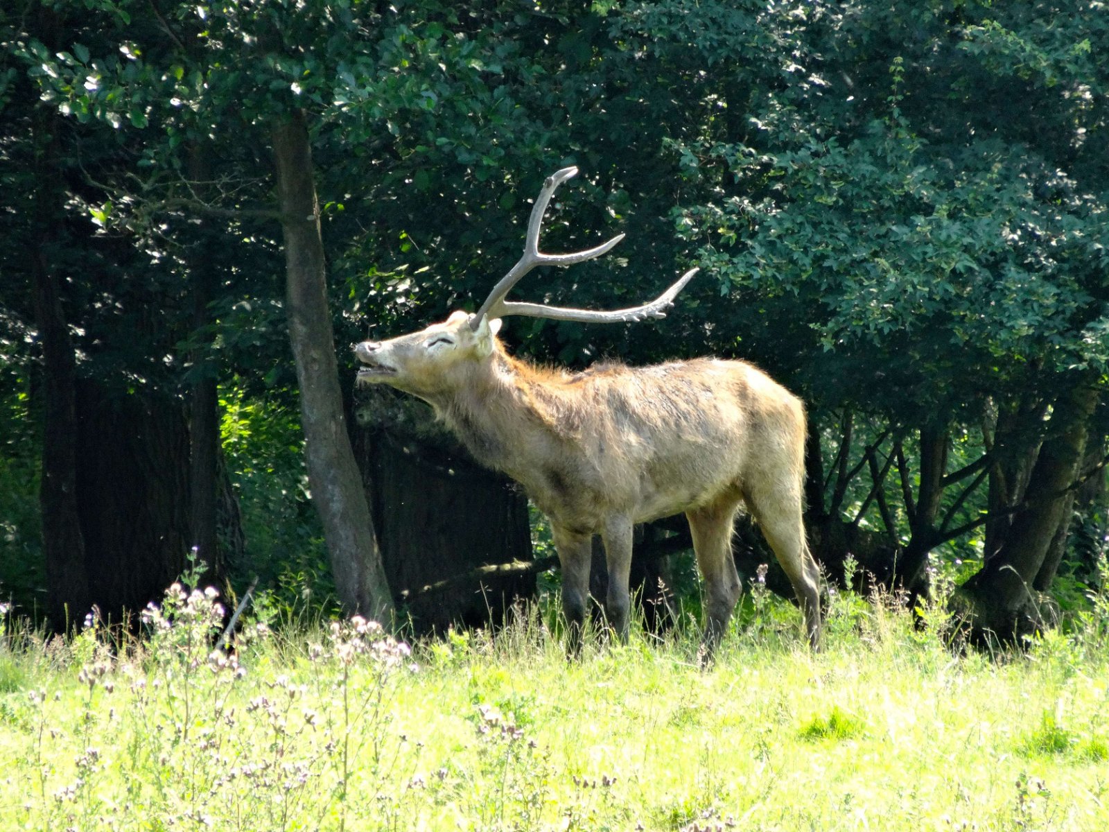 Natuurpark Lelystad