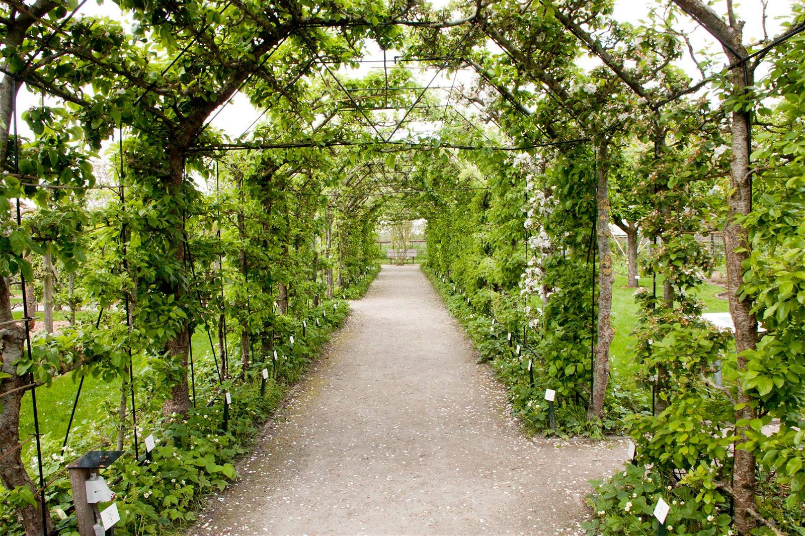 De Kruidhof hortus van Fryslân