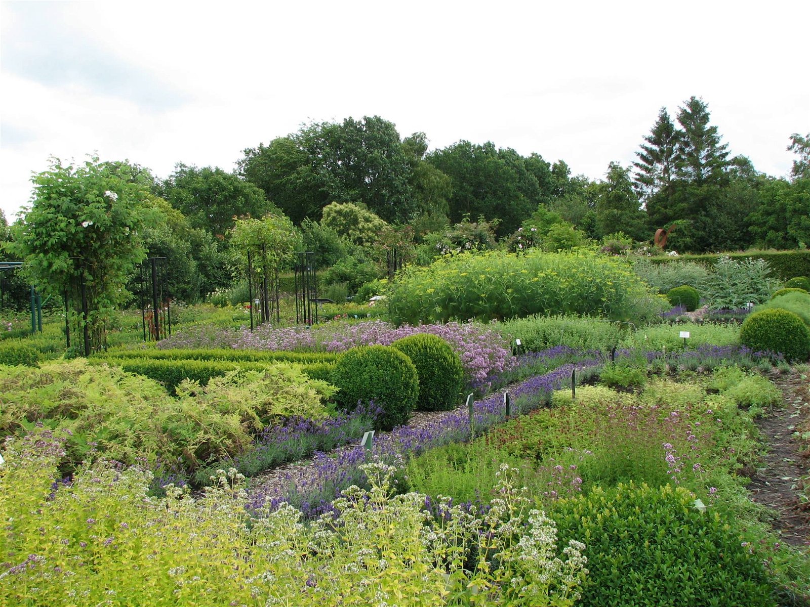De Kruidhof hortus van Fryslân