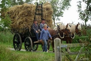 Landbouwmuseum Tiengemeten