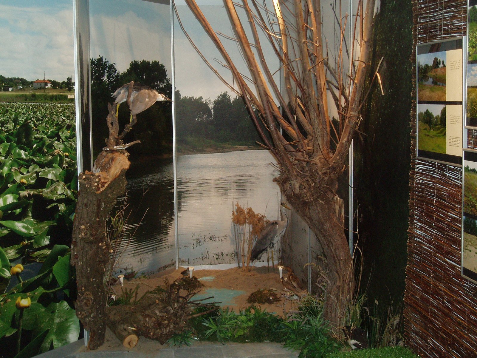 Schoonewelle Museum voor Natuur en Ambacht