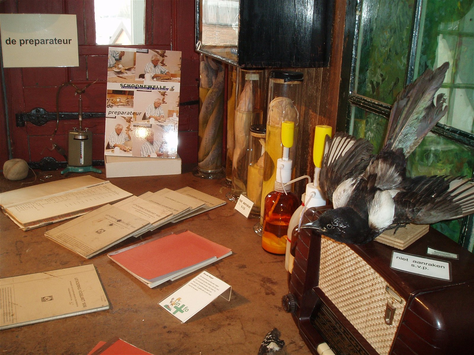 Schoonewelle Museum voor Natuur en Ambacht