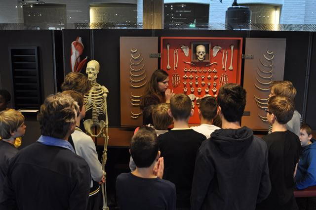 Museum voor Anatomie en Pathologie