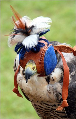 Valkerij en Sigarenmakerij Museum