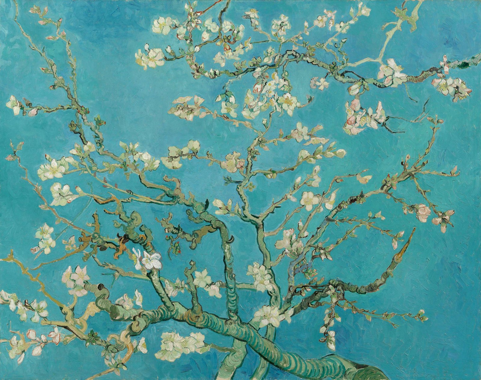 Van Gogh Museum