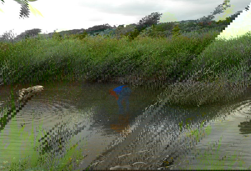 Natuurmuseum Nijmegen