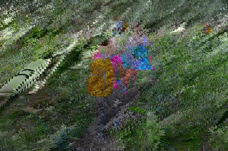 Natuurmuseum Nijmegen