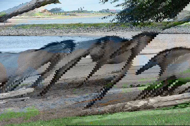 Natuurmuseum Nijmegen