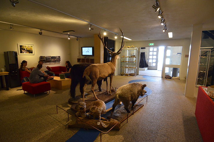 Natuurmuseum Nijmegen