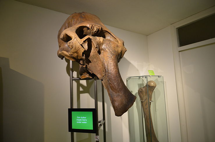 Natuurmuseum Nijmegen