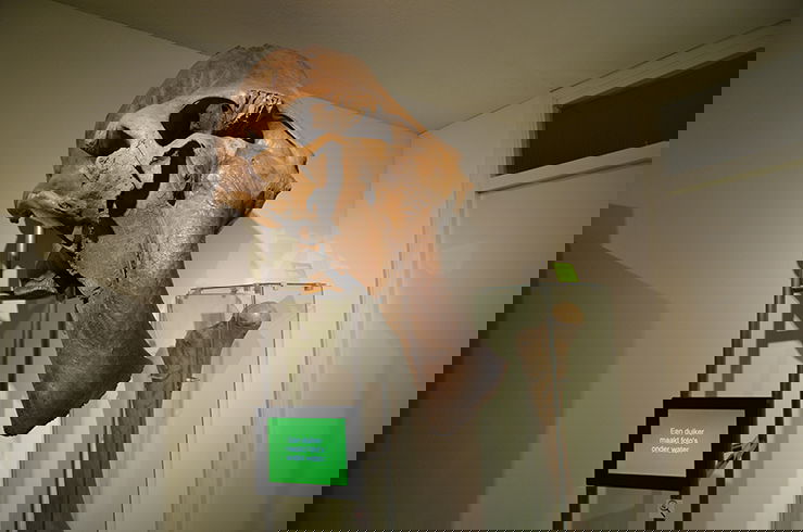 Natuurmuseum Nijmegen