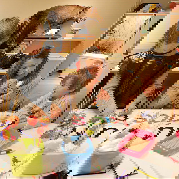 Natuurmuseum Nijmegen