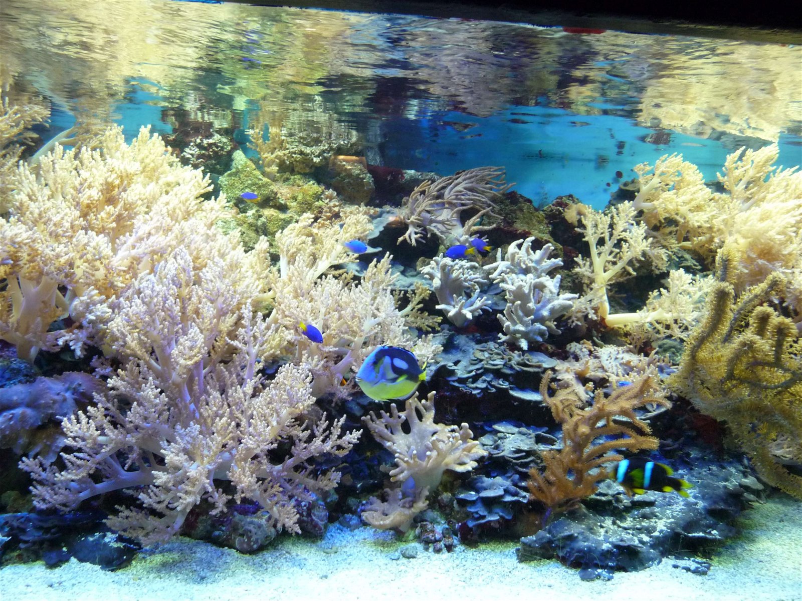 Aqua Zoo Leerdam (Leerdam) Visitor Information & Reviews