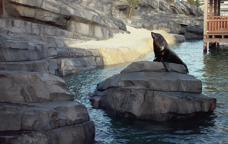 Wildlands Adventure Zoo Emmen