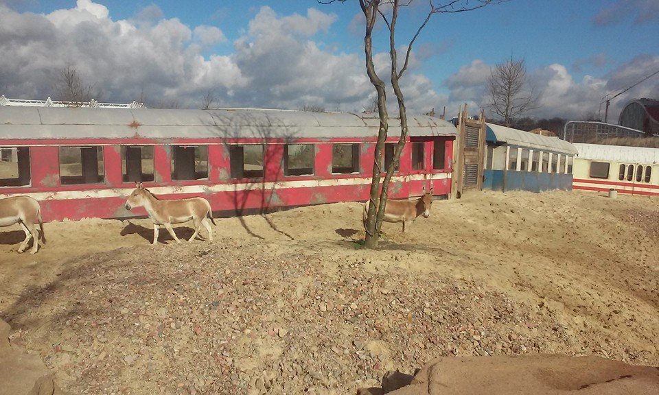 Wildlands Adventure Zoo Emmen