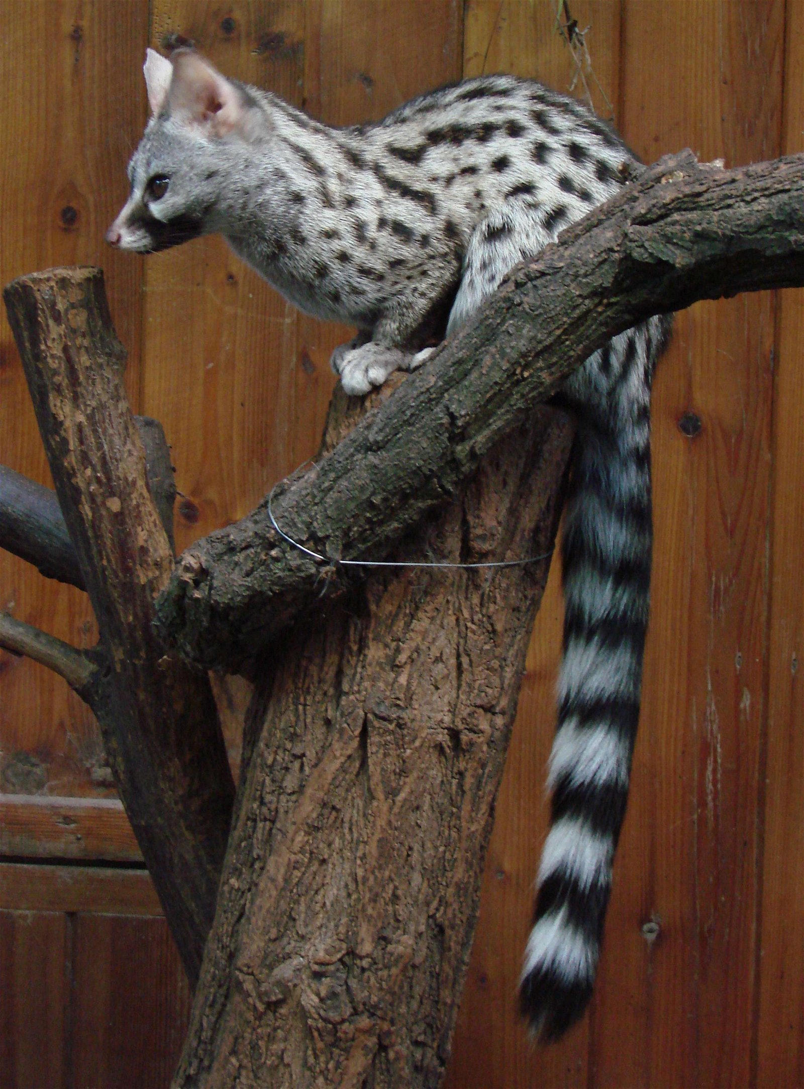 Wroclaw Zoo & Africarium