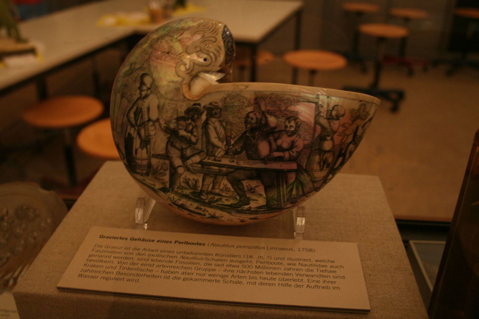 Natural History Museum Berlin