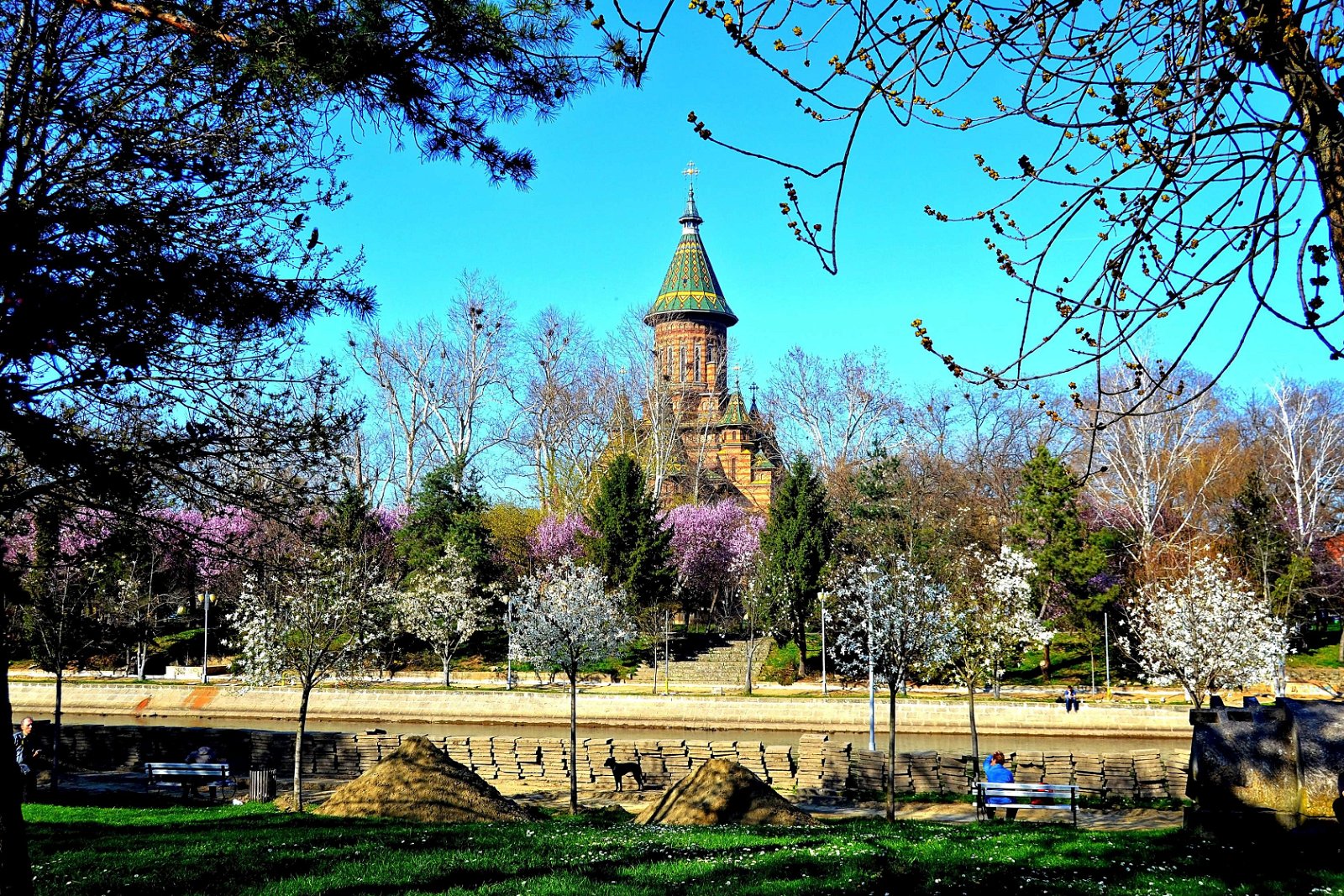 Timișoara Orthodox Cathedral