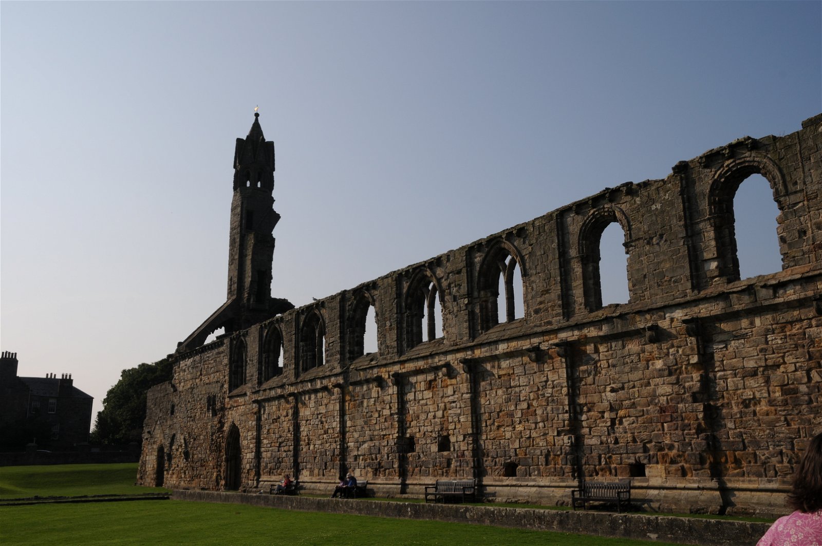 St Andrews Cathedral And St Rule's Tower