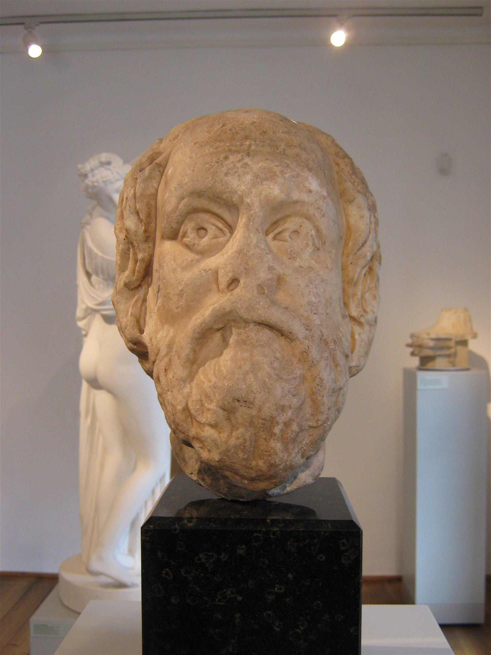 Museum of Antiquities of Leipzig University