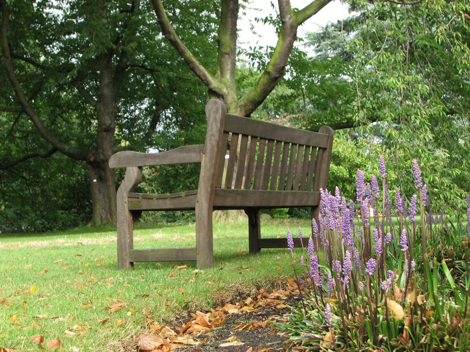 Royal Botanic Gardens, Kew