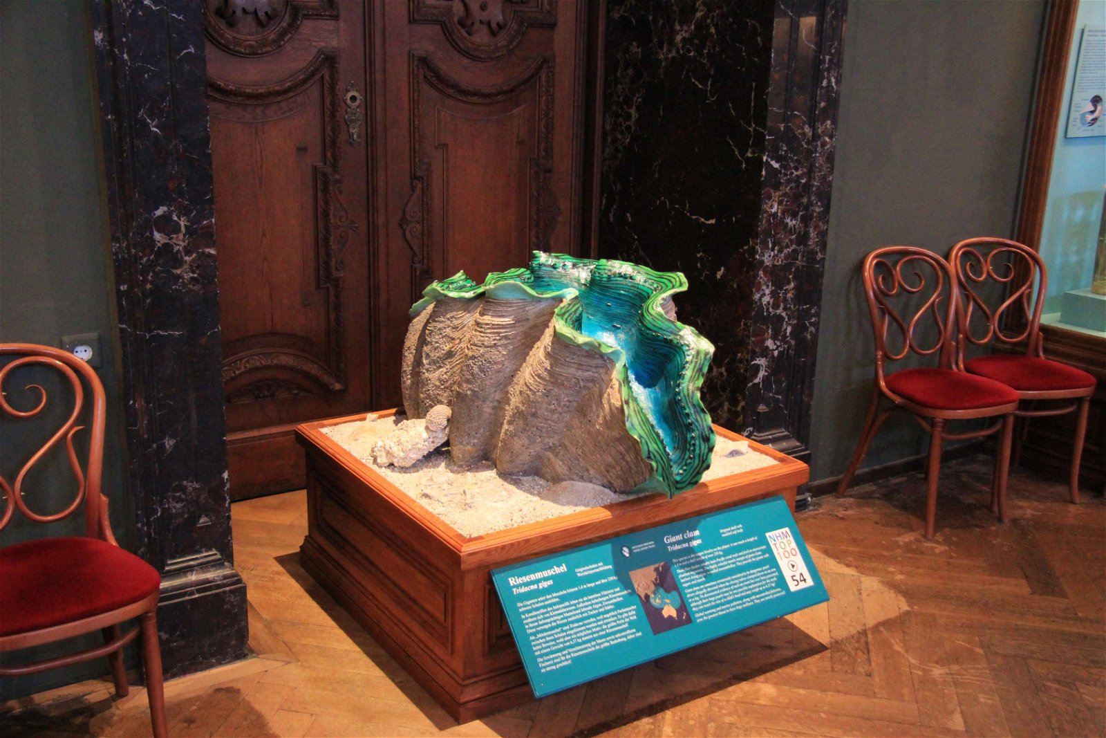 Natural History Museum