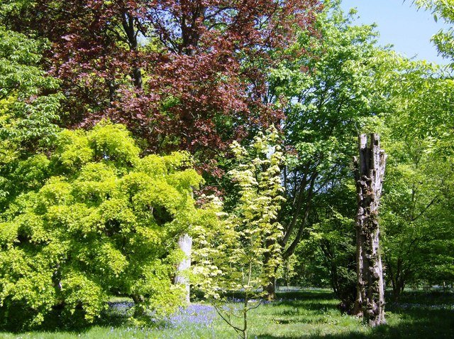 Westonbirt Arboretum