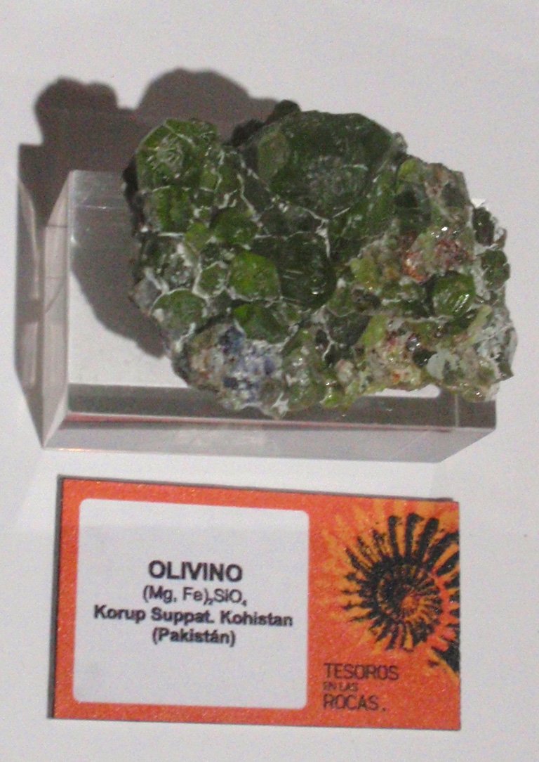 Museo Elder de la Ciencia y la Tecnología