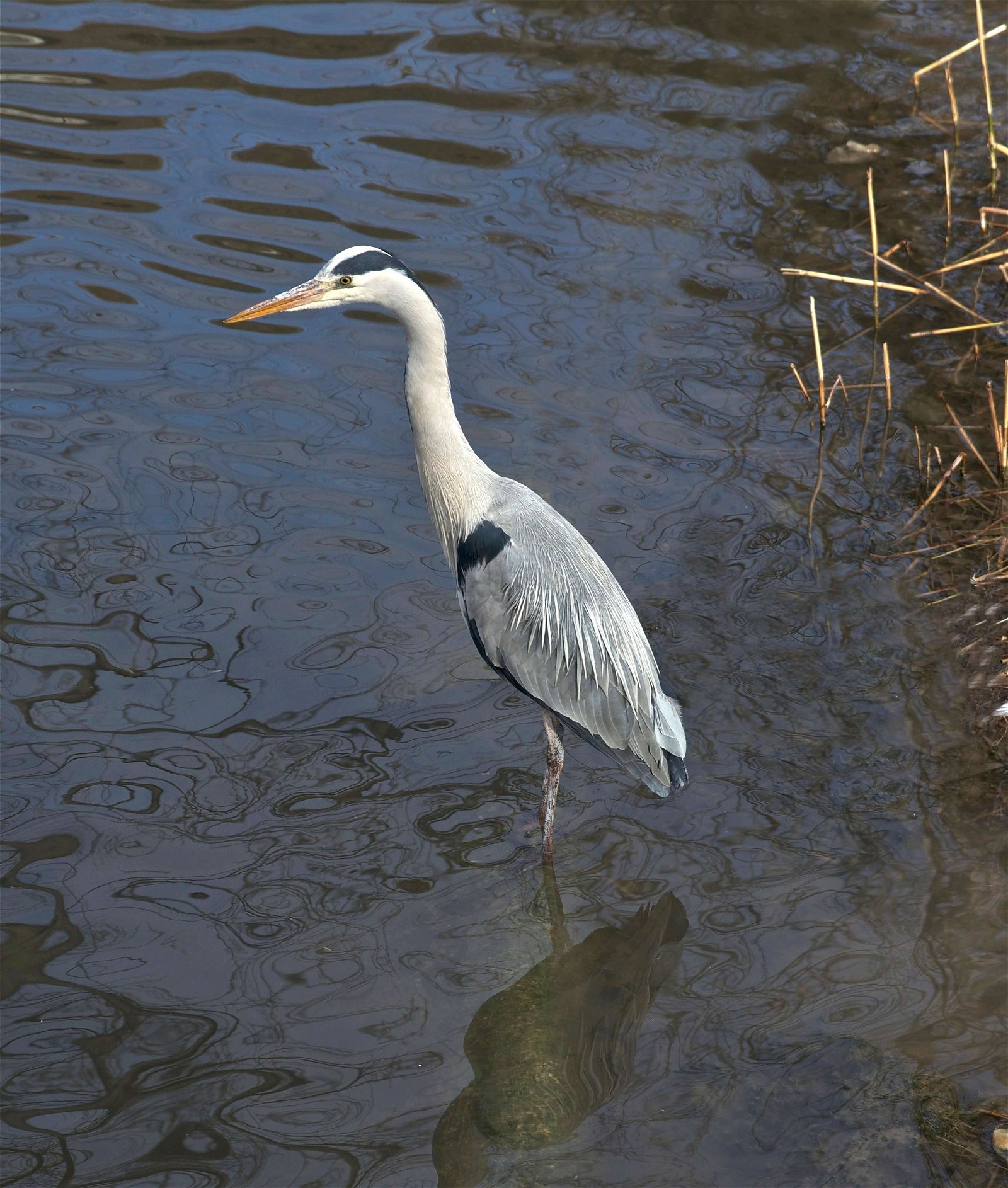 Tiergarten Schönbrunn