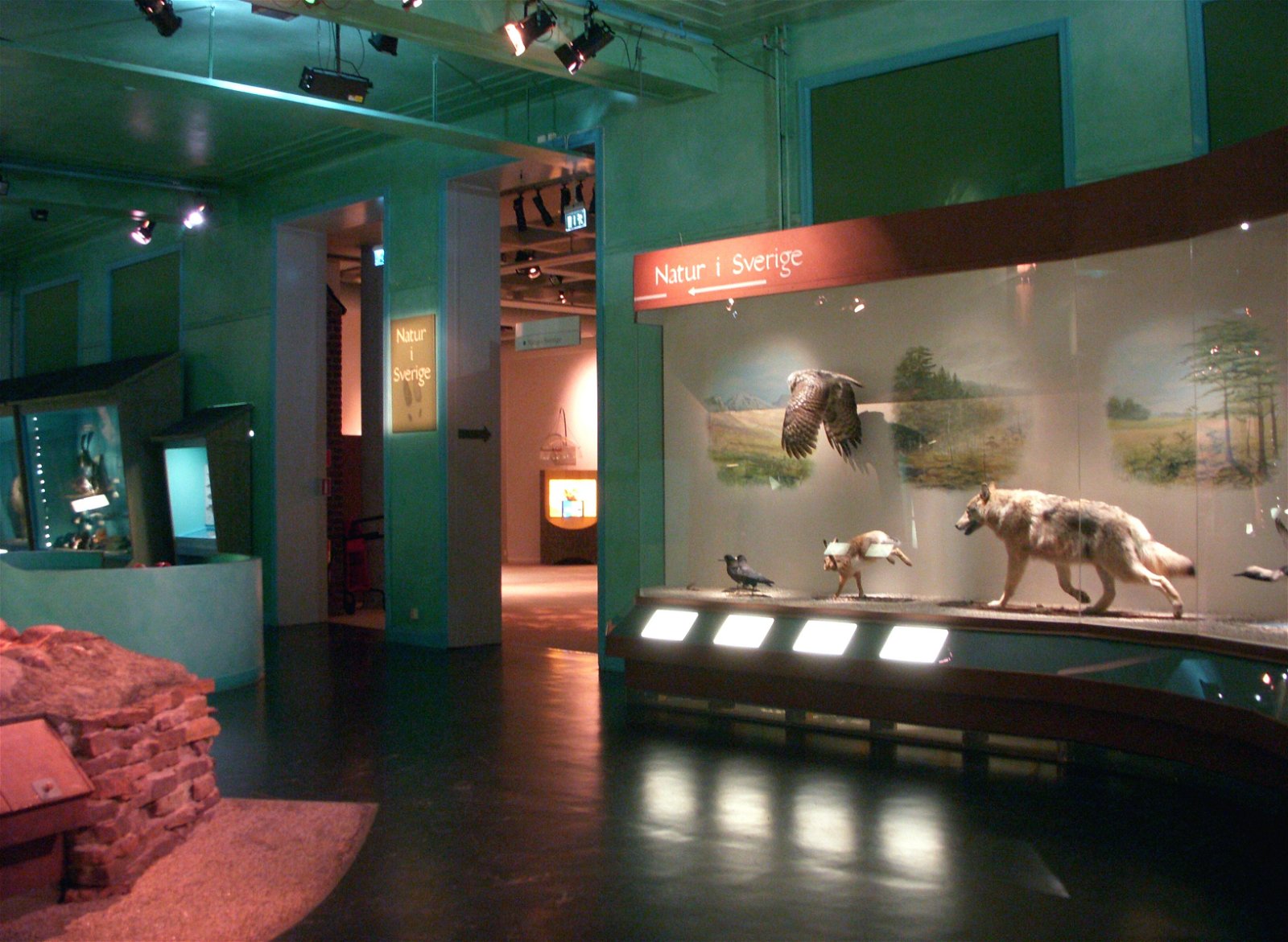 Swedish Museum of Natural History