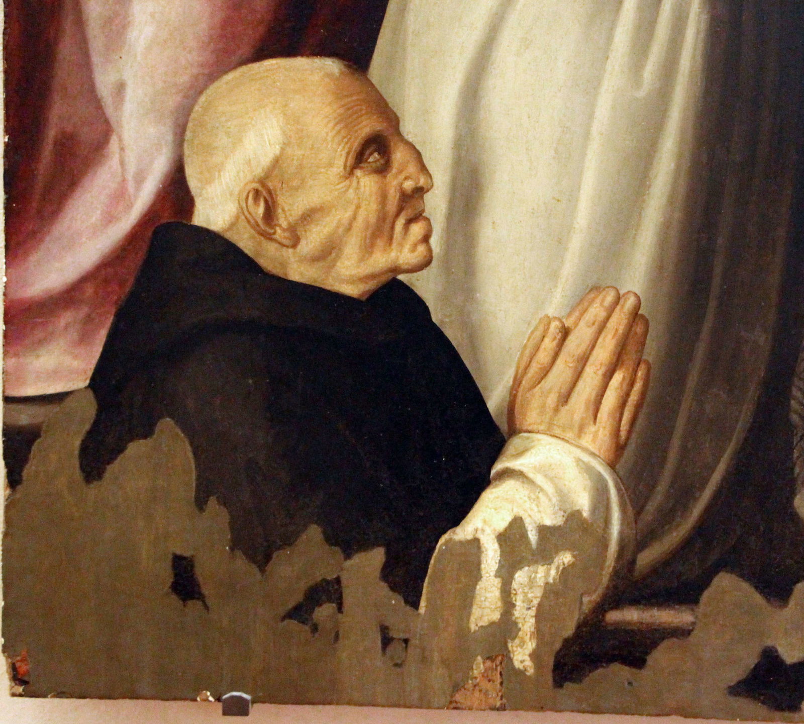 Museo del Cenacolo di Andrea del Sarto