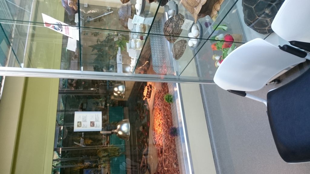 Schildpaddencentrum