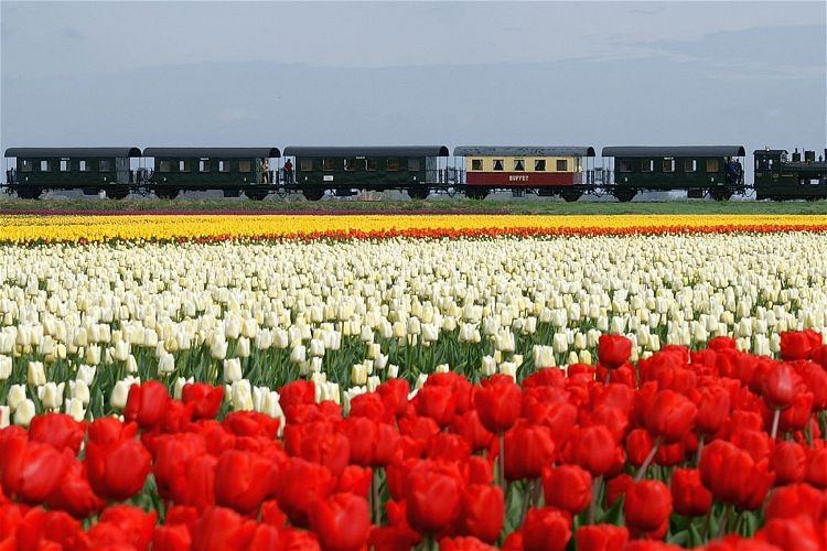 Dampfkleinbahn Hoorn-Medemblik