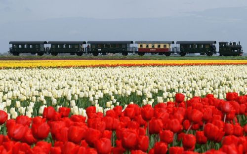 Steamtrain Hoorn Medemblik