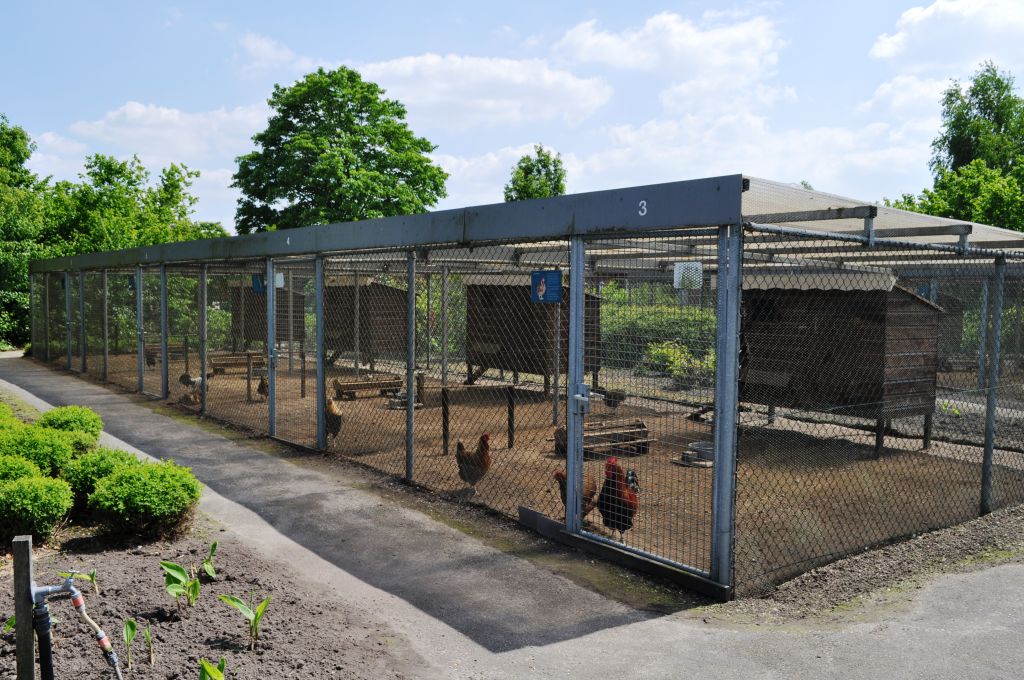 Holländisches Federviehmuseum