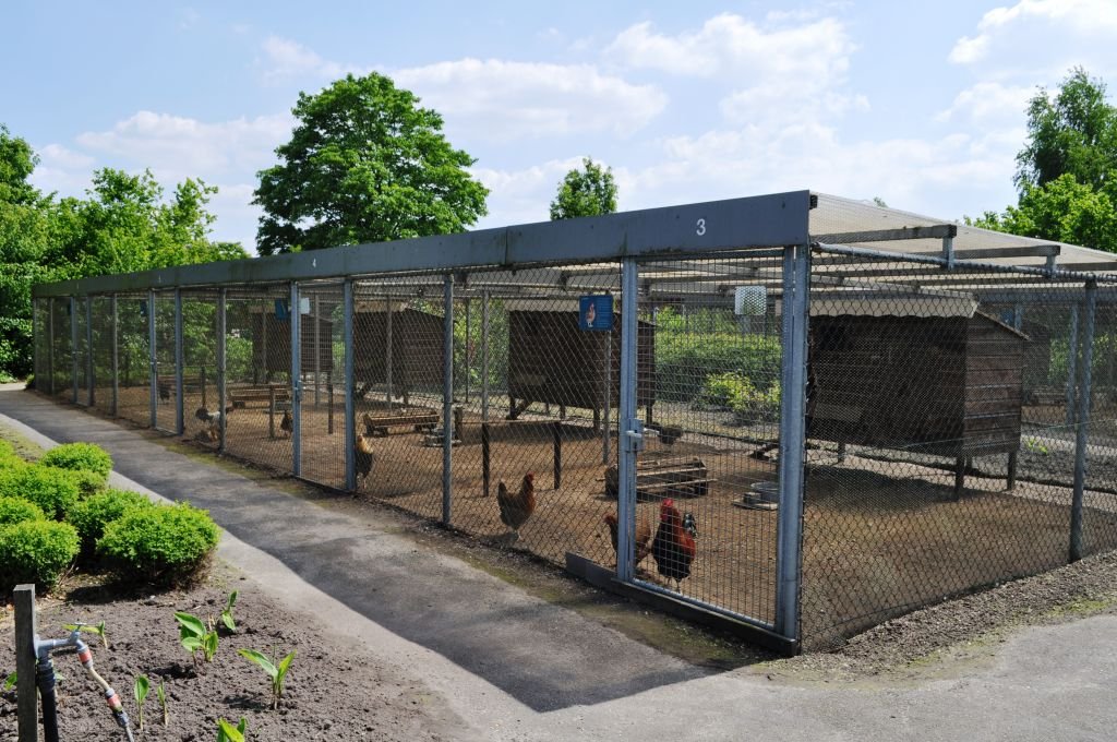 Nederlands Pluimveemuseum