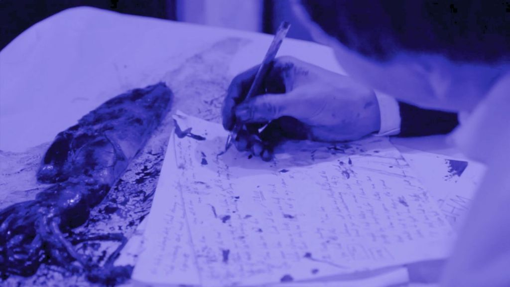 Laure Prouvost - the wet wet wanderer