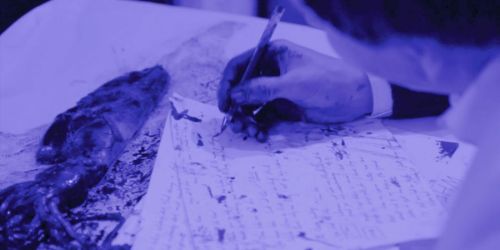 Laure Prouvost - the wet wet wanderer