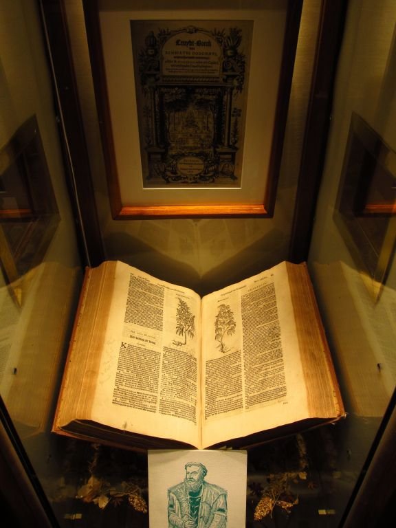 Hash Marihuana & Hemp Museum