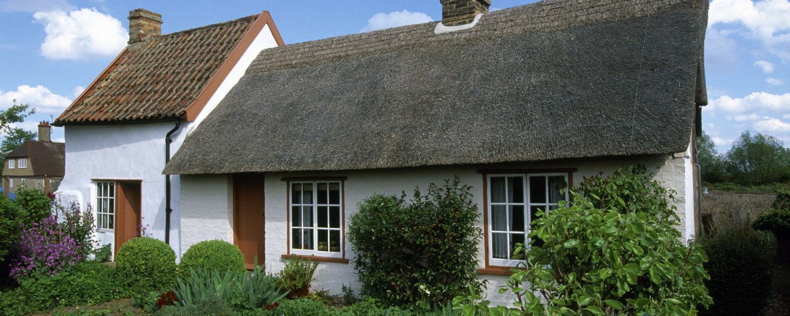 Wicken Fen National Nature Reserve