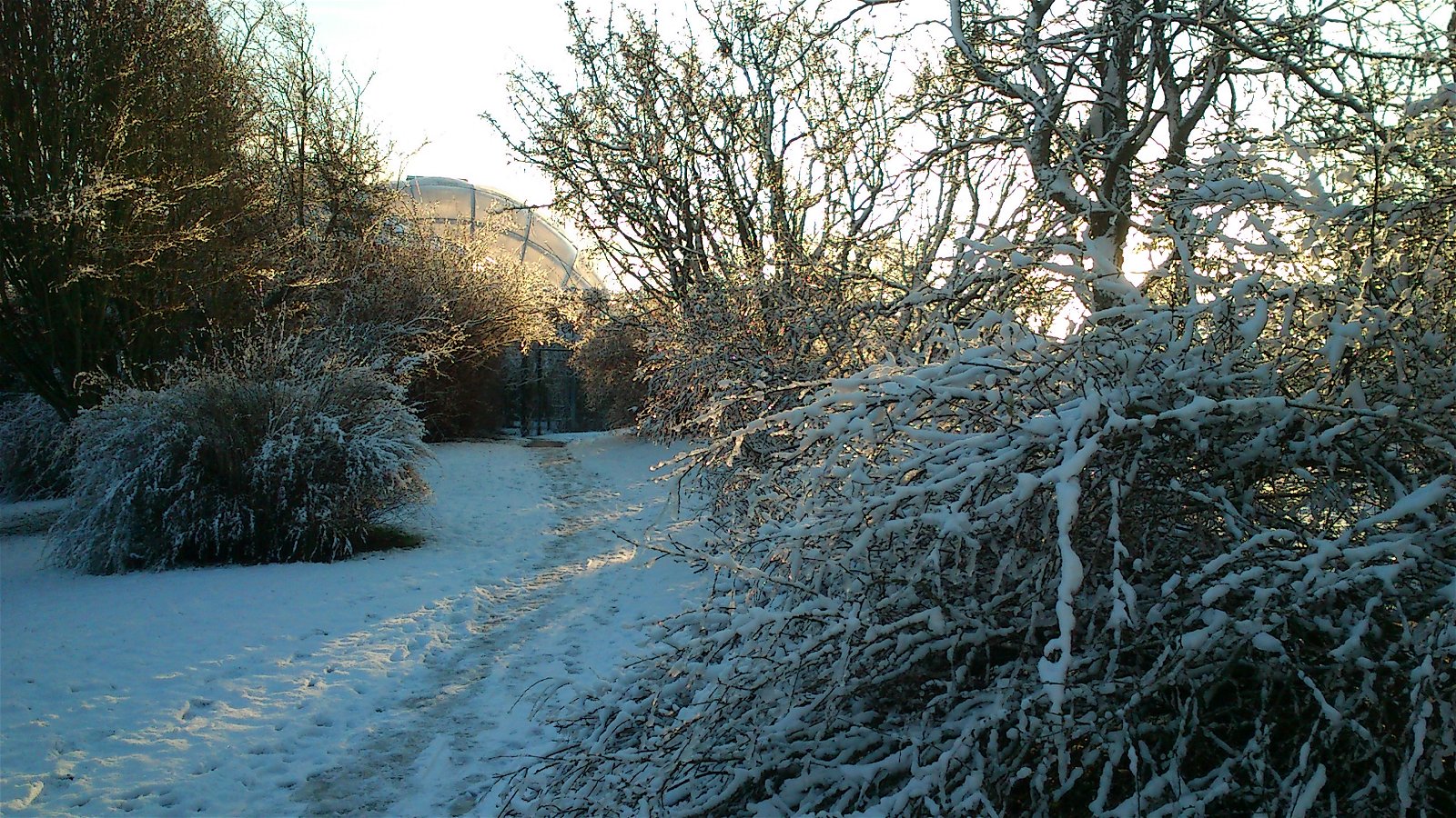 Aarhus Botanical Gardens