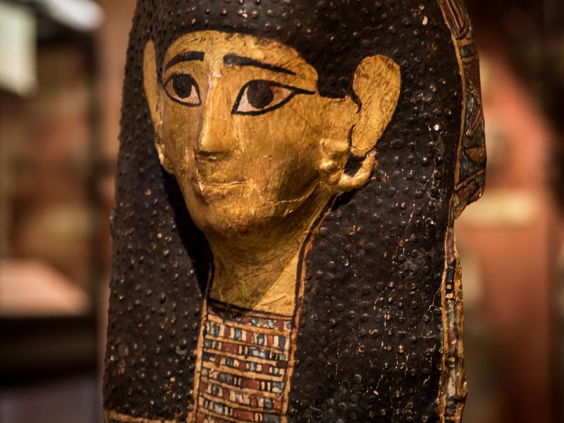 The Egypt Centre Museum of Egyptian Antiquities