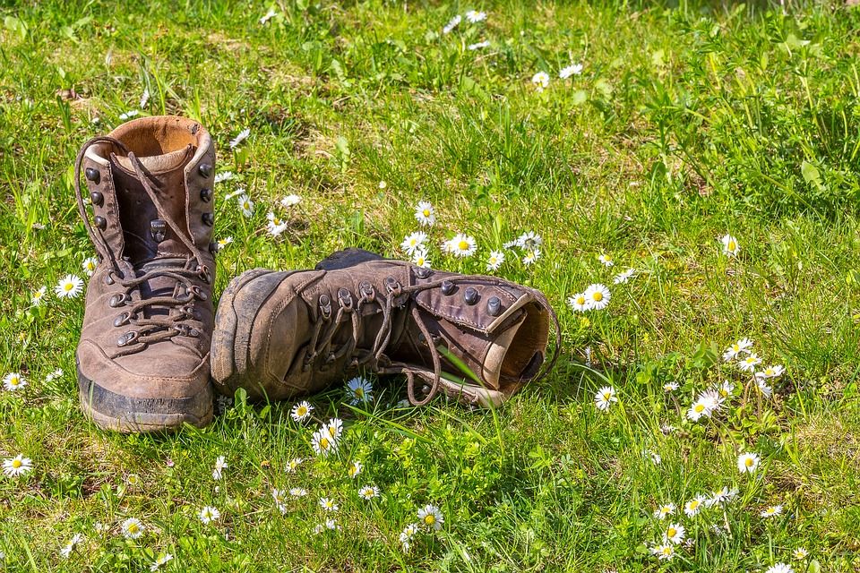 Trainingswandeling voor de Vierdaagse van Nijmegen :