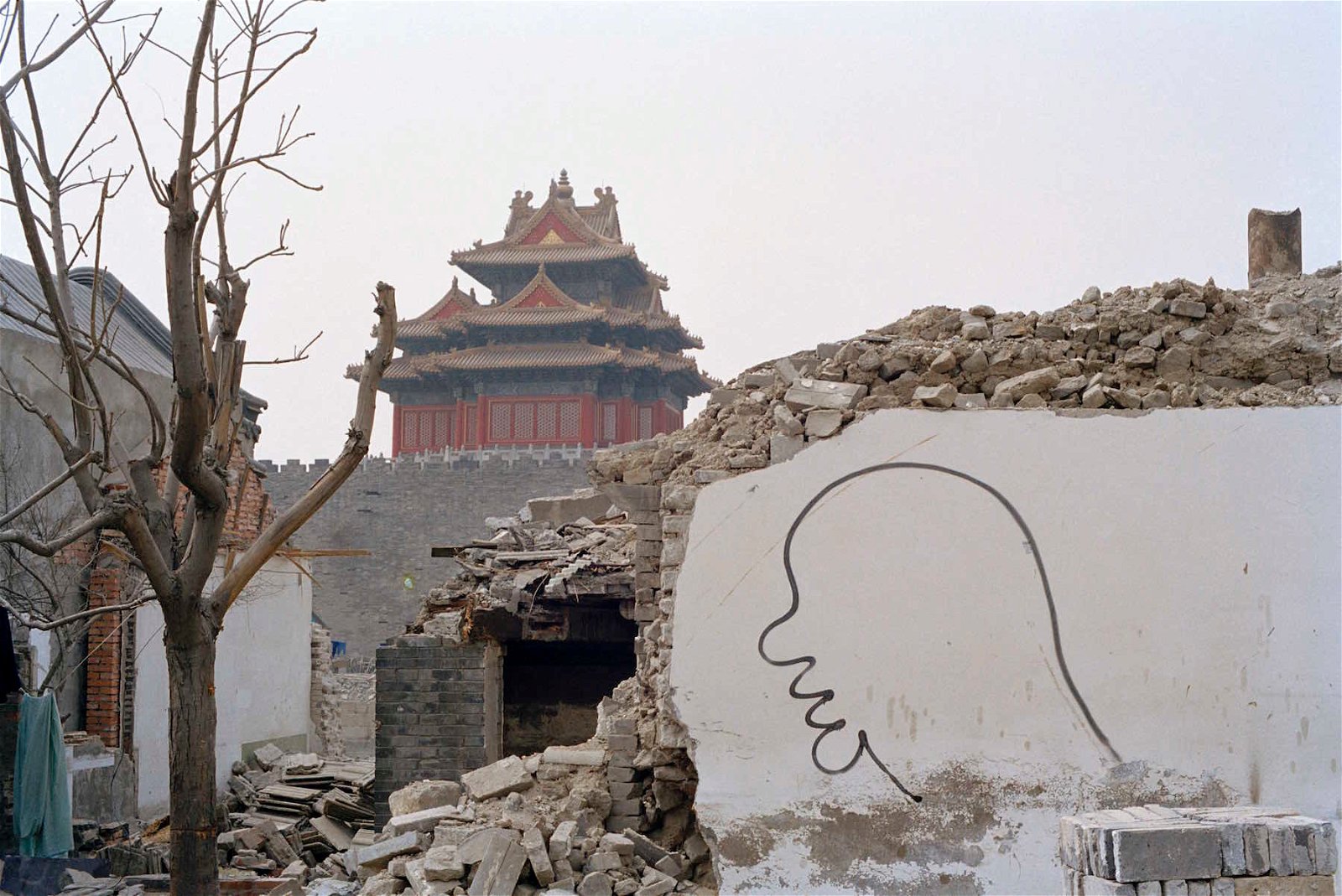 Zhang Dali - Body and Soul