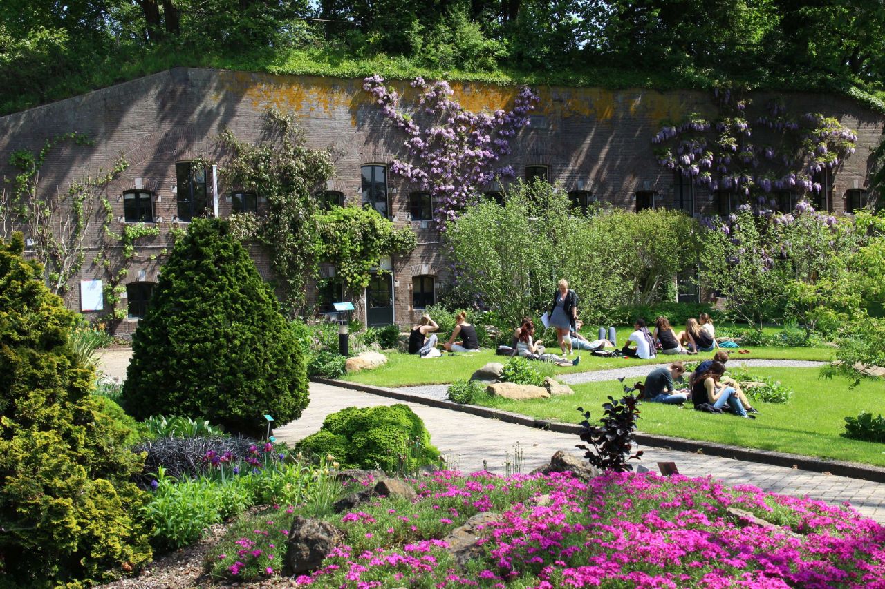 Botanische Tuinen Utrecht Utrecht Visitor Information And Reviews